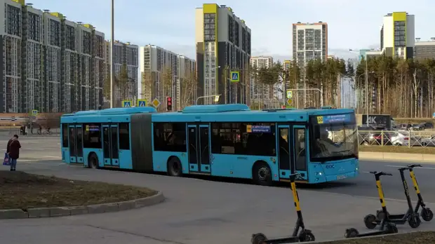 Не нужно переходить черту здравого смысла: публицист Голубь о транспортной реформе в Петербурге