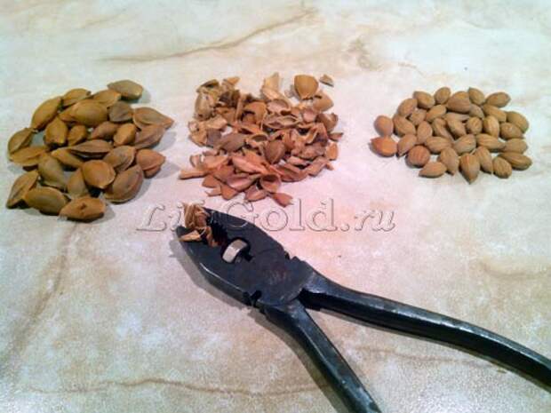 Как аккуратно колоть орешки