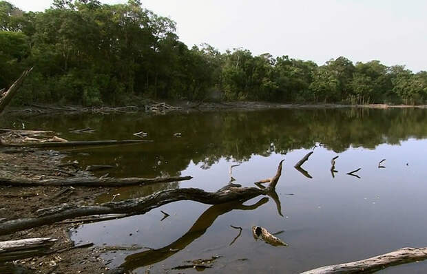 Во время разлива Во время разлива