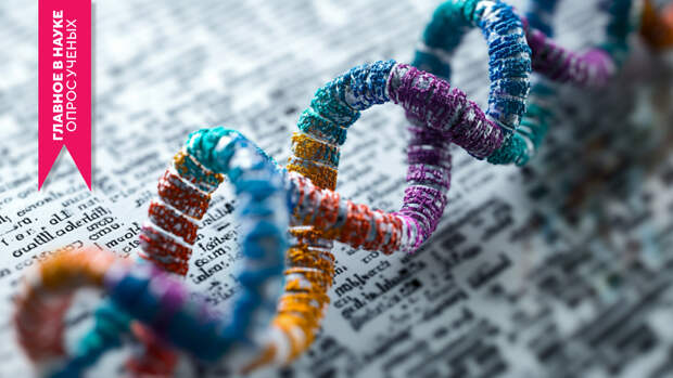 Лингвистика сегодня: долгосрочные исследования, открытия и пересечение с генетикой