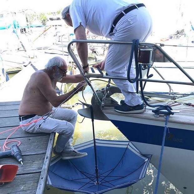 kartinok-veselyh-interesnyh-kartinki-smeshnye-kartinki-fotoprikoly