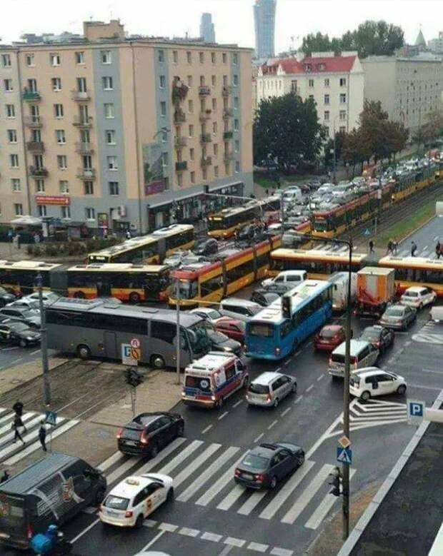 Подборка прикольных картинок