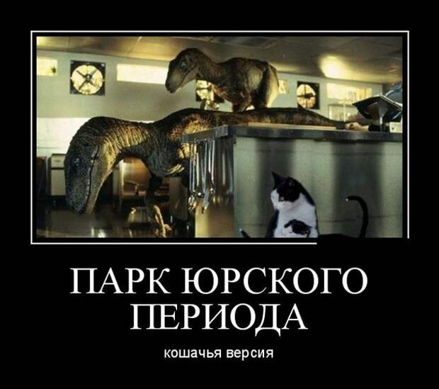 Демотиваторы (30 фото)