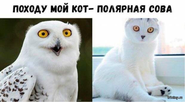 Подборка картинок (20 фото)