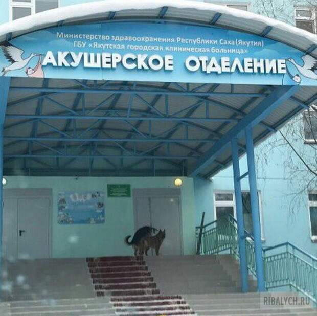 жуть из соцсетей