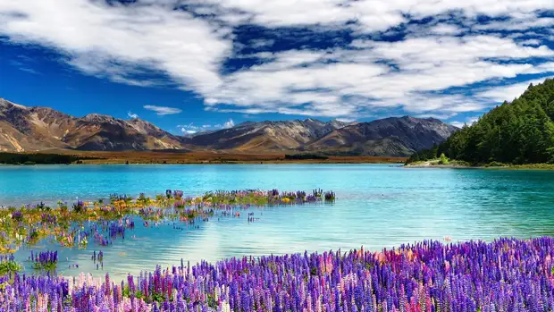 Удивительная красота озера Текапо в Новой Зеландии (Lake Tekapo)