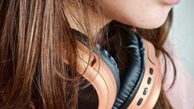 Фото: pixabay.com