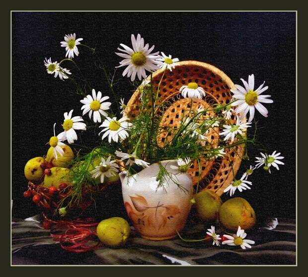 Яблоки и ромашки