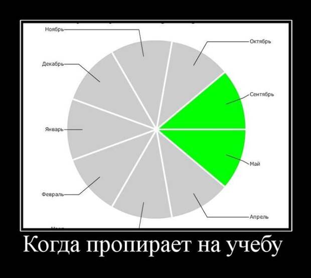 Демотиваторы (30 фото)