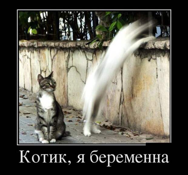 Демотиваторы (30 фото)