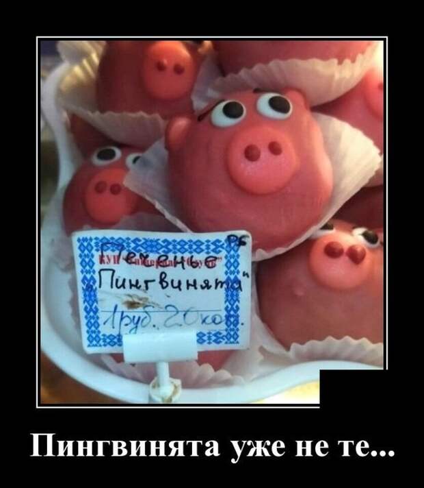 Демотиваторы (20 фото)