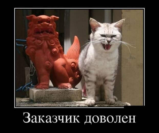 Демотиваторы - 993 Демотиваторы - 993