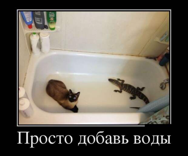 Демотиваторы (30 фото)