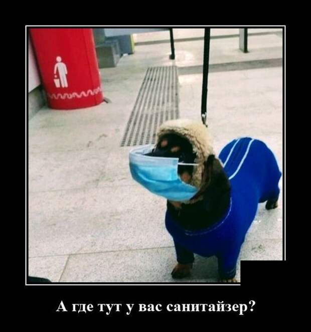 Демотиватор про санитайзер