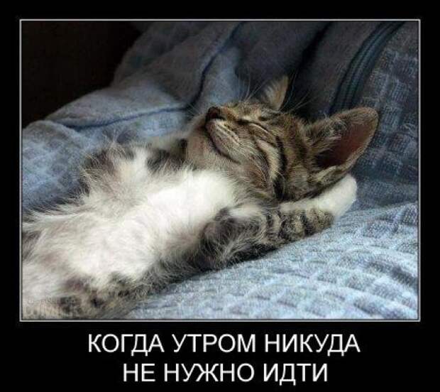 Подборка доброго юмора подборка, прикол, шутка, юмор