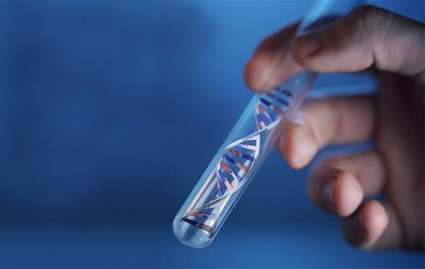 В компании Seagate работают над технологией записи данных в ДНК