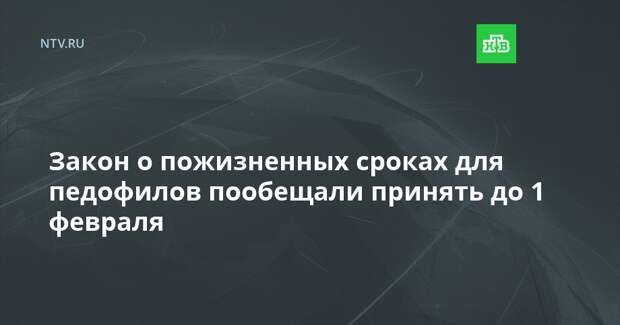 Закон о пожизненных сроках для педофилов пообещали принять до 1 февраля