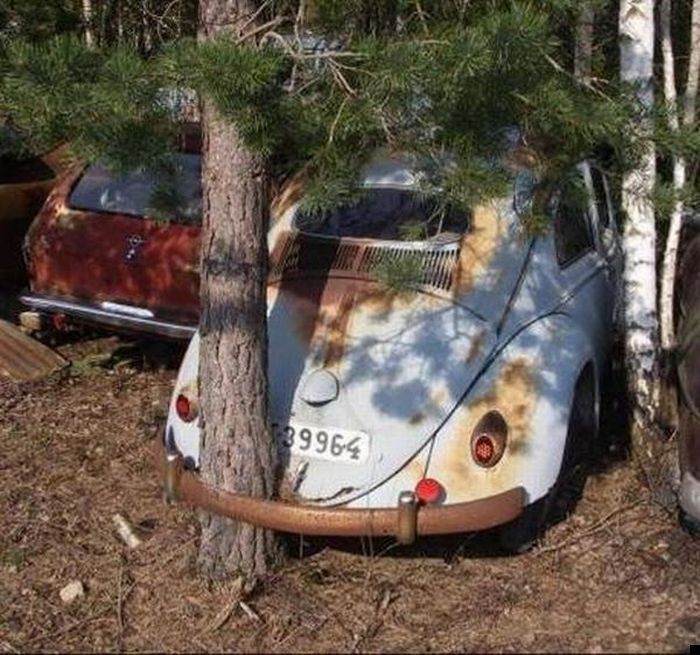 Сила природы (25 фото)