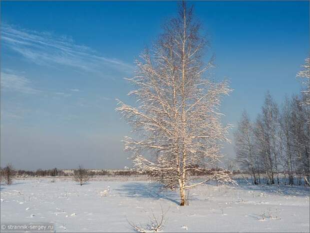 В поисках красивой лыжни