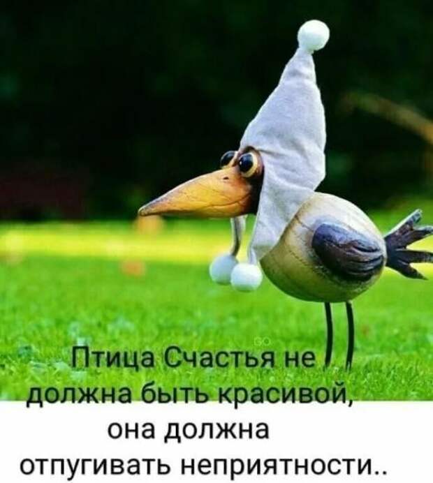 картинки с приколами (20)