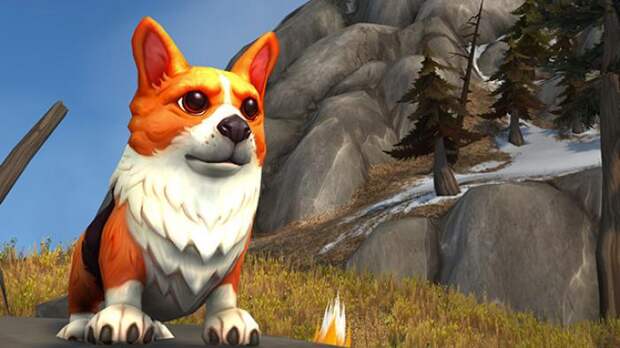 World of Warcraft отмечает свое 12-летие щенками корги