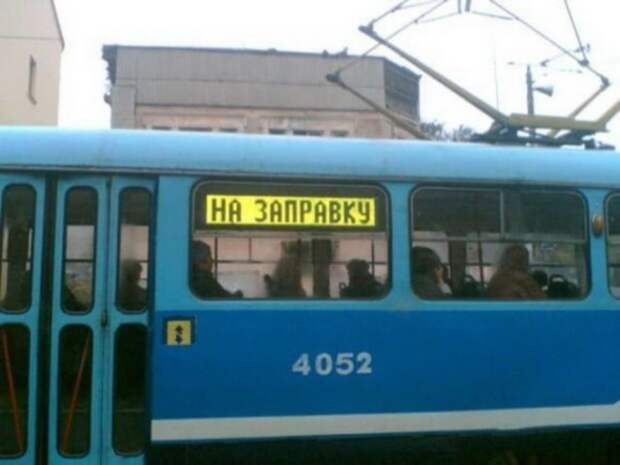 Прикольные надписи на автомобилях авто, прикол, юмор