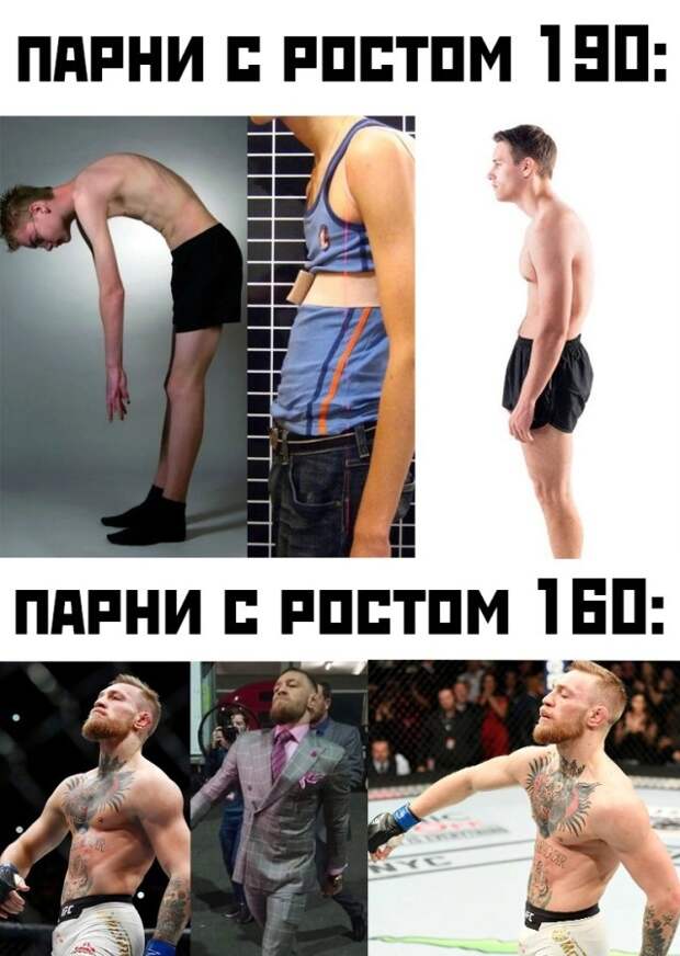 Смешные картинки 22 июля 2021
