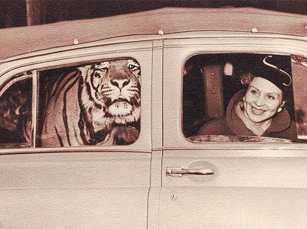 Фото №11 - Королева тигров: Маргарита Назарова