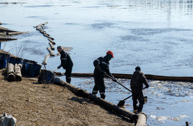 Экологи: едва ли мы знаем о реальном масштабе утечек топлива в России Экологи: едва ли мы знаем о реальном масштабе утечек топлива в России