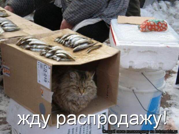 Мысли вслух :)