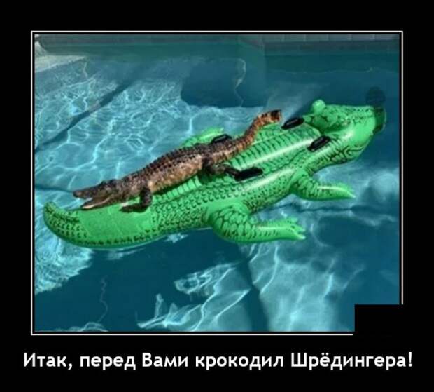 Демотиваторы 11 мая 2021