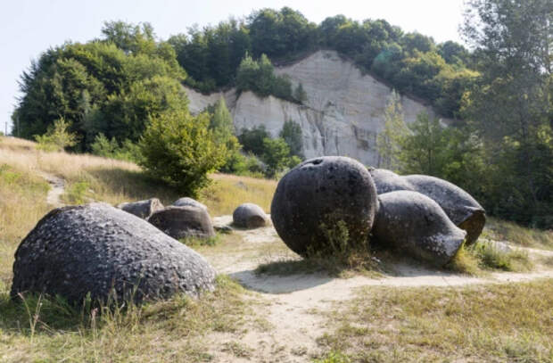 Почему загадочные "живые камни" растут