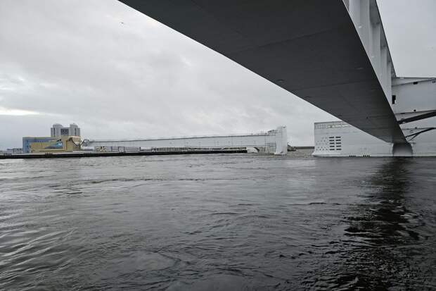 В эконадзоре Ленобласти опровергли разлив нефти после атак на порт Усть-Луга