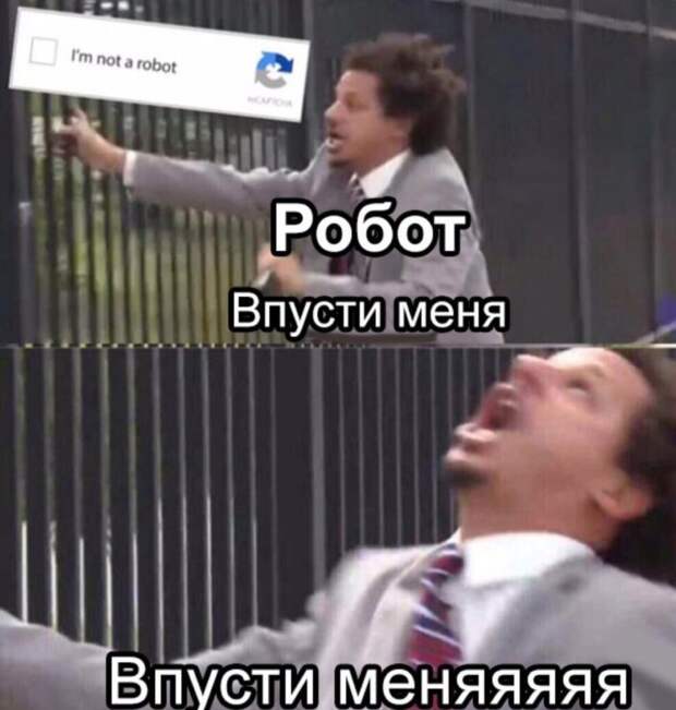 мемы февраля