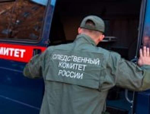 В центральный аппарат ведомства будет представлен доклад о ходе проверки по факту причинения телесных повреждений жительнице Краснодарского края в результате нападения собак