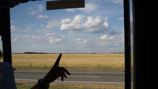 УНИАН: каждый шестой житель Украины хотел бы покинуть страну