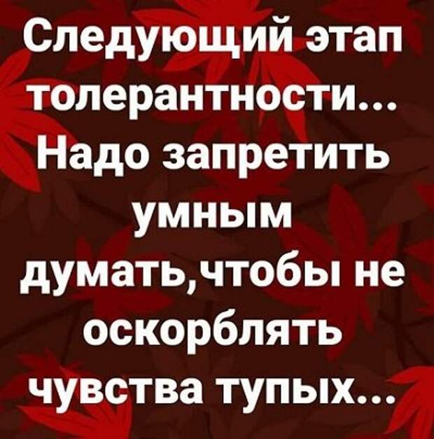 Картинки с надписями, истории и анекдоты