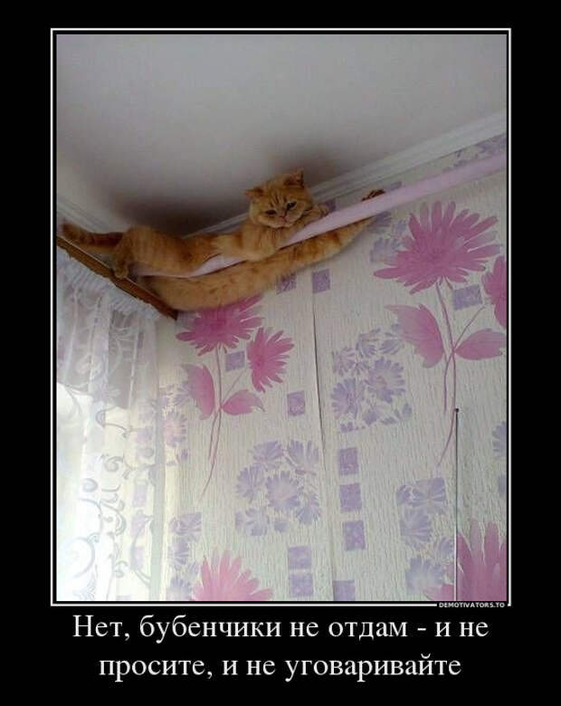 Нет, бубенчики не отдам, и не уговаривайте демотиватор, юмор