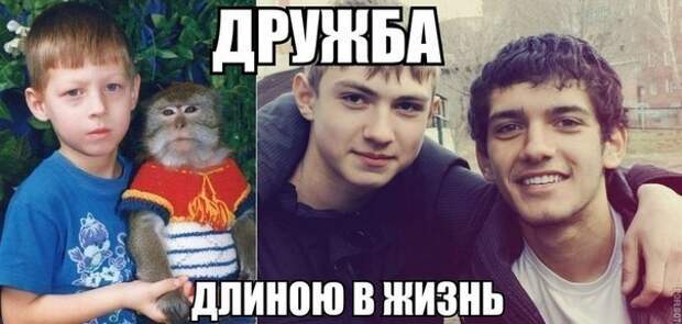 Сборка № 162