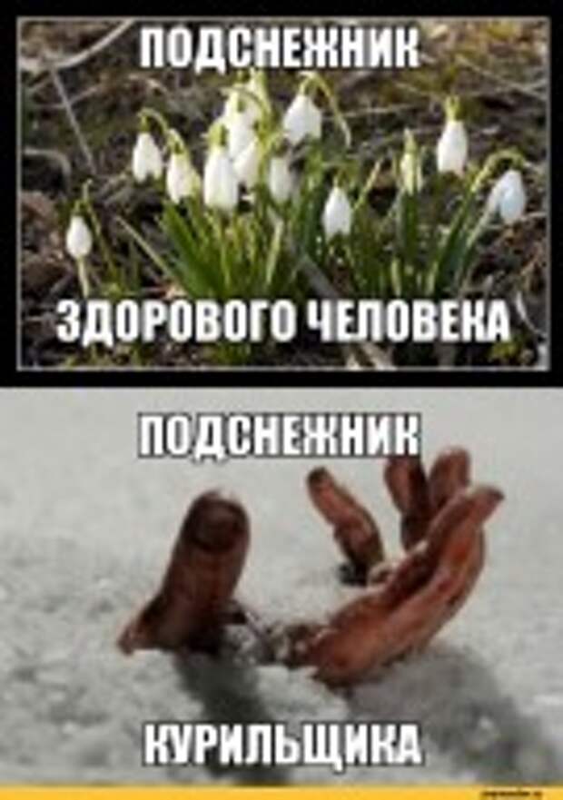 Зашибись Весна У Нас Картинки