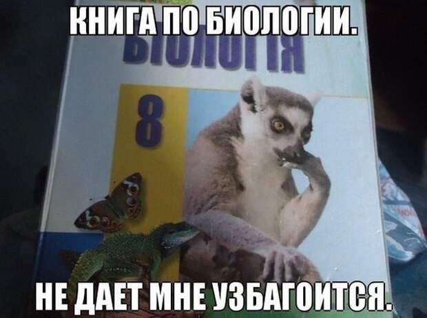 Прикольные картинки Прикольные картинки