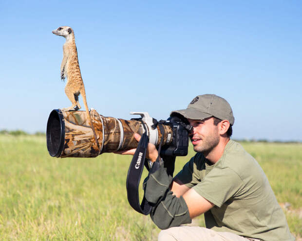 Животные, которые неравнодушны к фотосъёмке