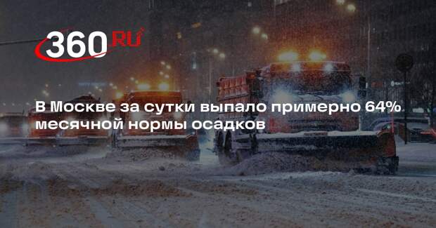 В Москве за сутки выпало примерно 64% месячной нормы осадков