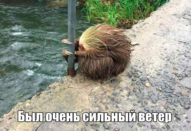 Прикольные картинки. Дневной выпуск (58 фото)
