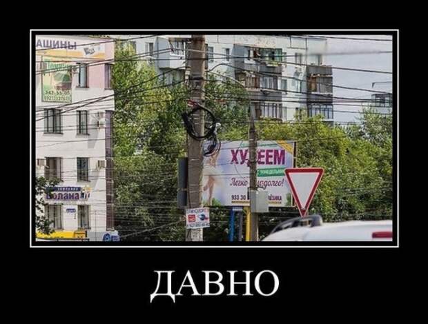 Демотиваторы (20 фото)