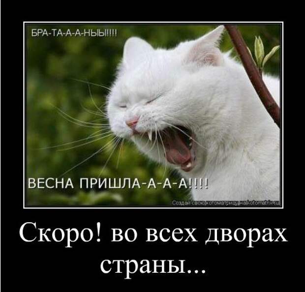 Идеальная закуска - прикольные демотиваторы