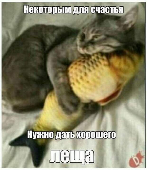 Смешные до слез классные картинки
