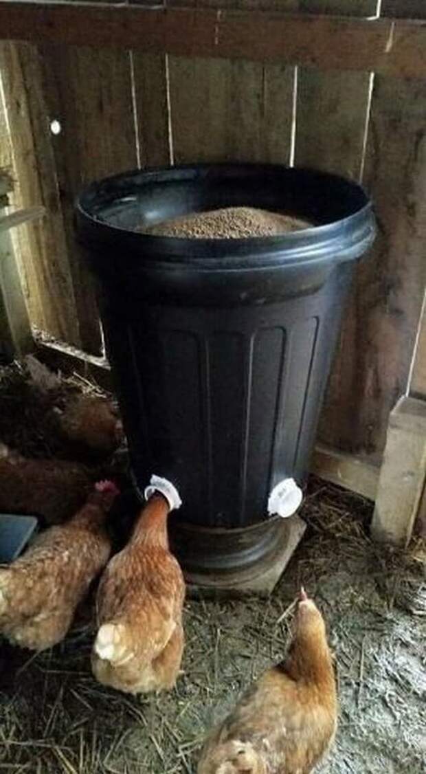 идеи для дачи