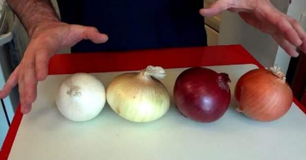 thumb-600x315-1