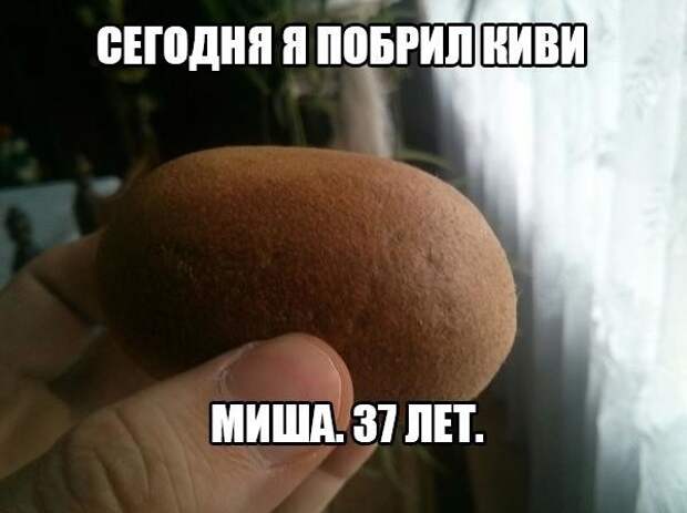 Смешные картинки с надписями Смешные картинки с надписями прикол, юмор